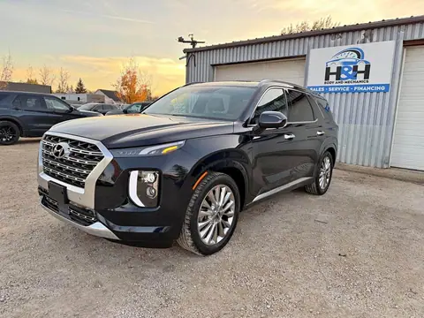 2020 Hyundai Palisade for sale in Winnipeg